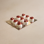 ميني بافلوفا