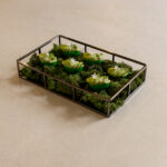 Green bun with hummus & tomato