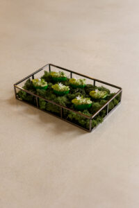 Green bun with hummus & tomato