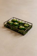 Green bun with hummus & tomato