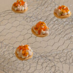 Salmon & roe savory macaron