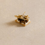 Enoki & black garlic tartlet